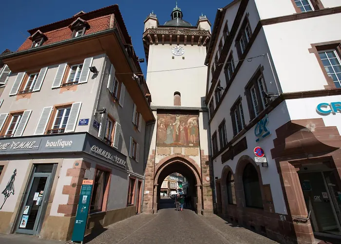 Le Rhenanus Ludwig Dringenberg - Appartement Au Calme - Centre Ville - Parking Gratuit
