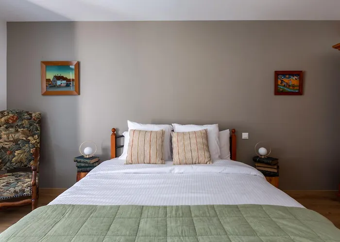 Le Rhenanus Ludwig Dringenberg - Appartement Au Calme - Centre Ville - Parking Gratuit