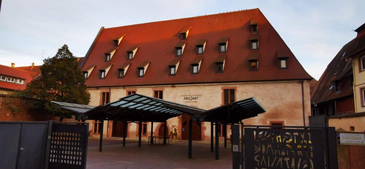 Apartment Le Rhenanus Ludwig Dringenberg - Au Calme - Centre - Parking Gratuit *
