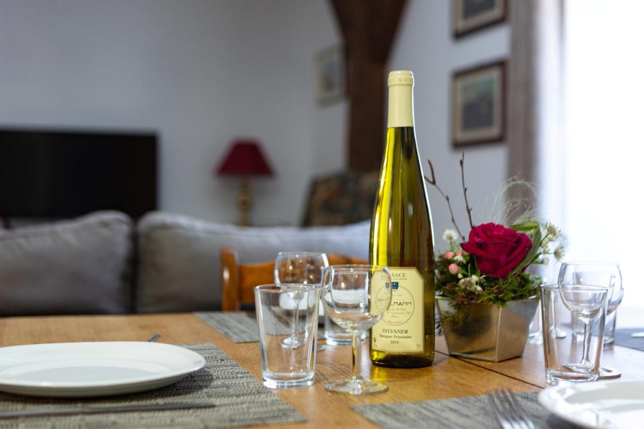 Apartment Le Rhenanus Ludwig Dringenberg - Au Calme - Centre - Parking Gratuit Selestat